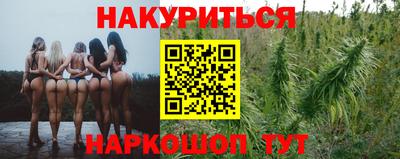 индика Будённовск