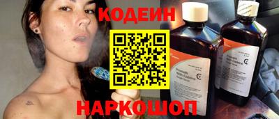 индика Будённовск