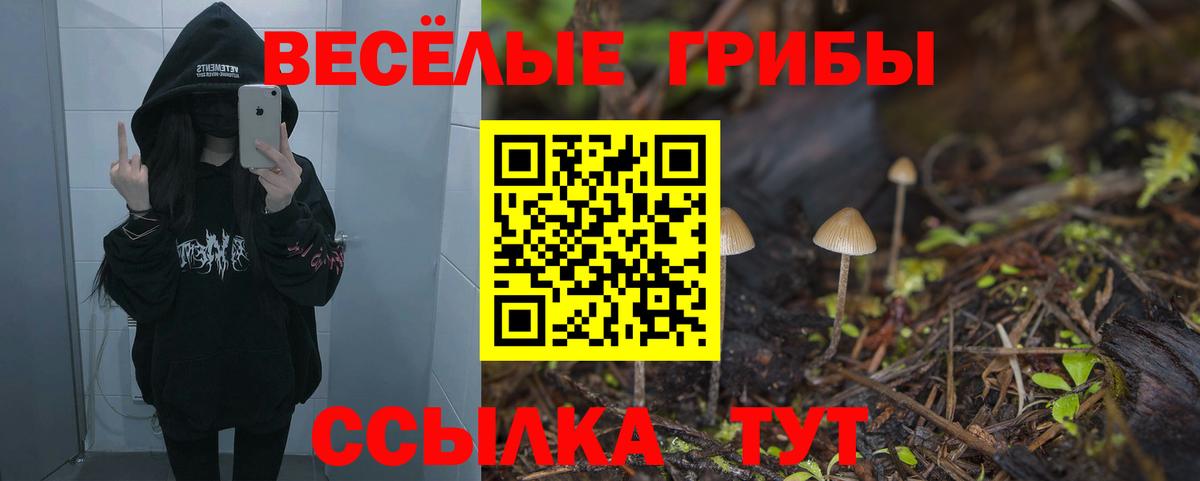 Псилоцибиновые грибы мухоморы Коркино
